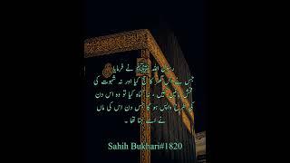 Hajj ki fazeelat.... Saheeh Bukhari.... #islamicvideo #islamicknowledge #religion #viral