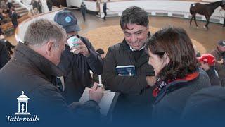 Tattersalls October Yearling Sale, Book 1 Day 3 Review 2024