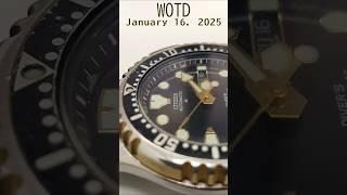 WOTD January 16, 2025 #watchoftheday