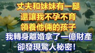 丈夫和妹妹有一腿，還讓我不孕不育領養他倆的孩子！我轉身離婚拿了一億財產卻發現驚人秘密！