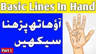 Basic Lines in Hand | Learn Palmistry | Part 1 l  Hand Analysis l Urdu Hindi English