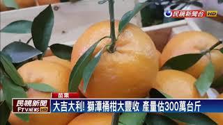 獅潭桶柑.草莓盛產 橘莓戀採果樂!－民視新聞