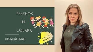 Стоит ли заводить ребенку собаку? Как выбрать собаку для ребенка?