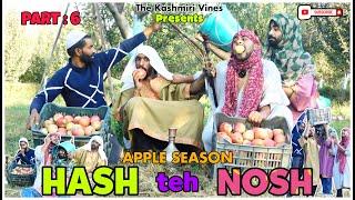 HASH teh NOSH (Part : 6) | APPLE SEASON  | Most Funny Video | The Kashmiri Vines