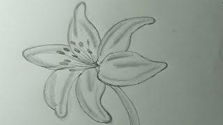 Easy Flower Drawing For Beginners | How to draw a beautiful flower | Flower Drawing #drawingforkids