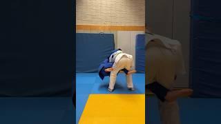 Can this modified sumi gaeshi throw be used in competitive judo? #judo #sumigaeshi #nagewaza #bjj