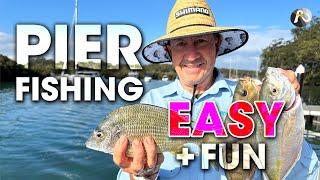 Pier Fishing for FOOD and Bait - Best TACTICS!