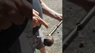 Remington Cane Gun