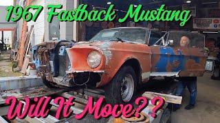 Will it Move?? 1967 Fastback Mustang. Rescued from WV holler! Part 2