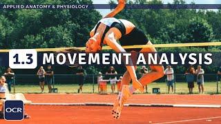 OCR GCSE PE - MOVEMENT ANALYSIS (Levers, Planes & Axes) - Applied Anatomy & Physiology (1.3)