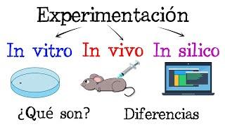  In Vitro, In Vivo, In Silico  ¿Qué son?  Diferencias  [Fácil y Rápido] | BIOLOGÍA |