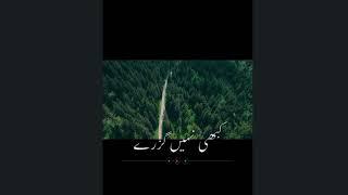 Tum Is taraf Say Shayd Kabi Nahi Guzaray || Sad Poetry || @waseemmirpoetry