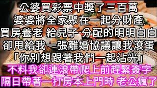 公婆買彩票中獎了三百萬婆婆將全家聚在一起分財產買房養老 給兒子 分配的明明白白卻甩給我一張離婚協議讓我滾蛋「你別想跟著我們一起沾光」 #心書時光 #為人處事 #生活經驗 #情感故事 #唯美频道 #爽文