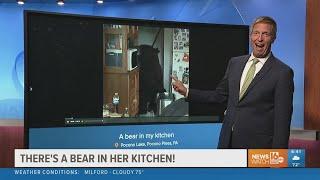 A bear in the kitchen and more | Wildlife Wednesday