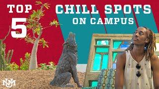 Campus Countdown | Top 5 Chill Spots at UNM