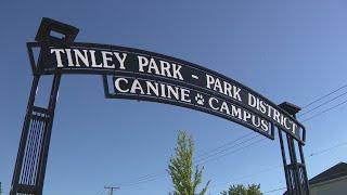 Tinley Park neighbors say complaints about dog park falling on deaf ears