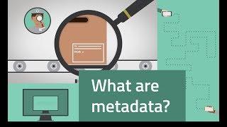 What are metadata?