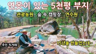 5만평의 정원은 덤.(캠핑장, 민박으로 돈버는 전원생활)