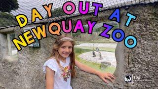 Day out at Newquay Zoo