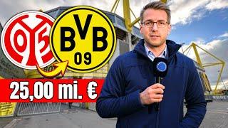 BVB-ÜBERRASCHUNG: MAINZ-STAR wechselt nach DORTMUND | nachrichten bvb