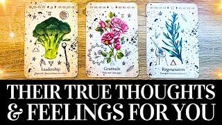 ️ THE HONEST TRUTH About Their Thoughts & Feelings  PICK A CARD ️ Love Tarot Reading