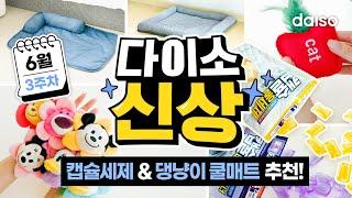 인기폭발 캡슐세제🫧 & 댕냥이를 위한 펫 쿨매트 | 다이소 신상 6월 3주차! 1탄