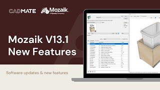 Mozaik Software 13.1 Updates and New Features