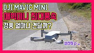 매빅미니 최대풍속 8m/s 넘으면 추락? - DJI MAVIC MINI