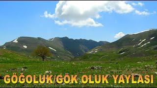 GÖĞOLUK'TAN AKSU VADİSİ'NE ALADAĞLAR #yayla#gezelimgörelim#keşfet#keşfetteyiz#aksu#aladağlar#yahyalı