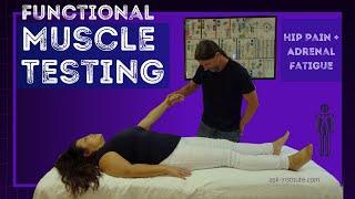 MUSCLE / MERIDIAN TESTING  Adrenal Health for Hip and Knee Pain