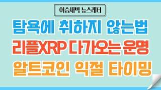 [정규#141] 리플XRP 도지 코인과 같은 운명인 이유/비트코인 예측 #비트코인 #이더리움 #리플 #코인