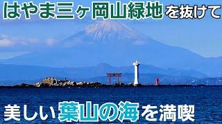 【葉山】はやま三ヶ岡山緑地から美しい海際へ！