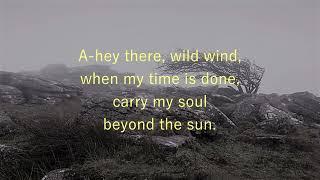 Wild Wind  JOHN LEYTON  (with lyrics)