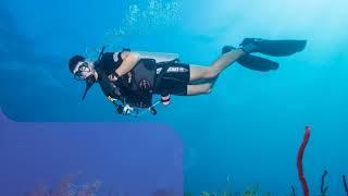 PADI Dive Courses with ScubaFun