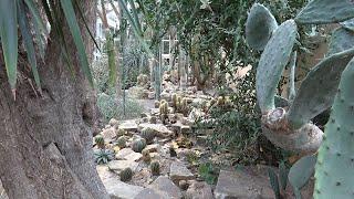 Beautiful Desert Greenhouse