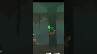 How To Get The Best Bow Early In Zelda Tears of the Kingdom