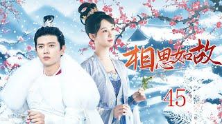 2024古装大戏【相思如故 Lovesickness as before EP45】小公主替姐姐嫁给废柴王爷，本该死在出嫁那天的她得到重生玉佩，和王爷一起改写命运｜任嘉伦 杨紫