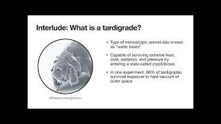 Tardigrade: An Atomic Broadcast Protocol for Arbitrary Network Conditions