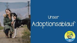  lUnser Adoptionsablauf| 