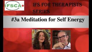 IFS for Therapists #3a   Meditation for Self Energy