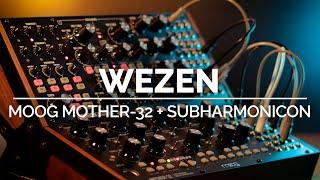 Wezen | Generative Ambient Moog Mother-32 + Subharmonicon