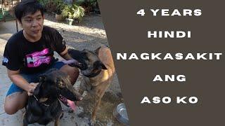 Vlog 187: TIPS PARA HINDI MAGKASAKIT ANG ASO #dogs #belgianmalinois #papsnikstv