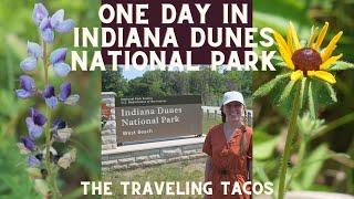 Indiana Dunes National Park, West Beach Hiking Trails - The Traveling Tacos