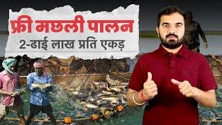 कम खर्चे में मछली पालन | Indian major carbs | IMC fish Farming | machali palan  #agriculture