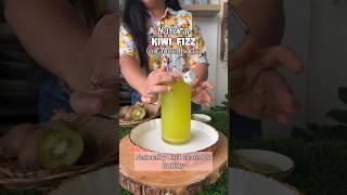 Naturally carbonated Kiwi Fizz ! This is a refreshing recipe made with Chilean Kiwi 