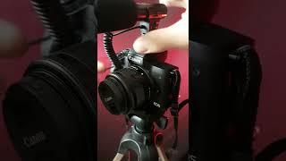 Canon M50 mark ii microphone setup explained - Improve audio quality #shorts