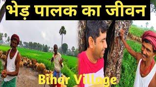 भेड़ पालक का जीवन बिहार के गाँव में कैसे रहते है घर से महीनों दूर | Bihar Village Life