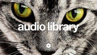 Up In My Jam (All Of A Sudden) – Kubbi (No Copyright Music)