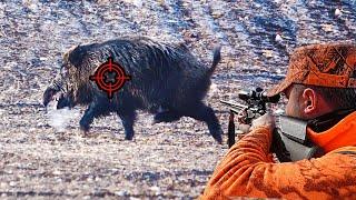 Magnificent wild boar hunting in the snow, wonderful hunting scenes HOG HUNTS PIG #hunting #wildboar