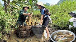 17 year old girl - Catch big fish go to market sell with Husband - Cook fish